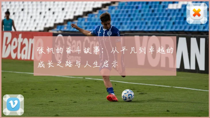 张帆的奋斗故事：从平凡到卓越的成长之路与人生启示