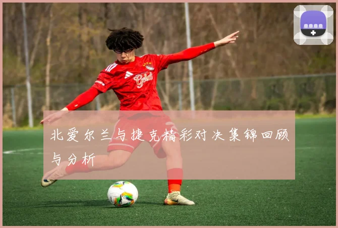 北爱尔兰与捷克精彩对决集锦回顾与分析